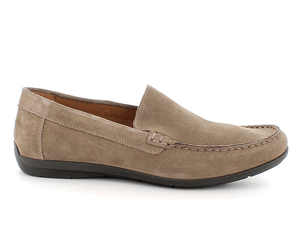 100761 TORTORA 7638/017 MARRON