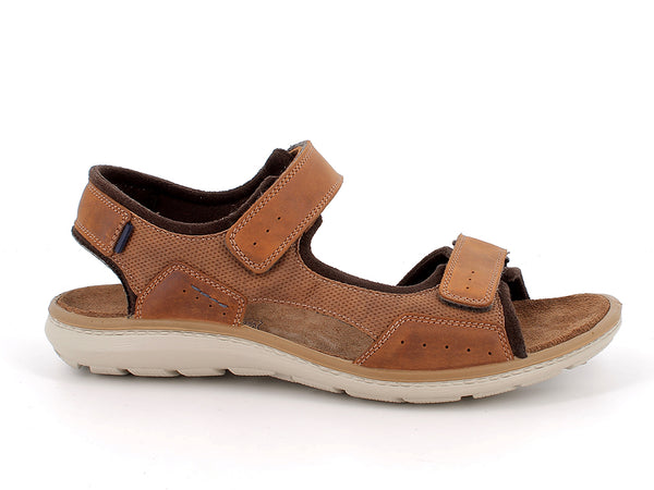 103810 MARR.CHIARO 3485/013 BE