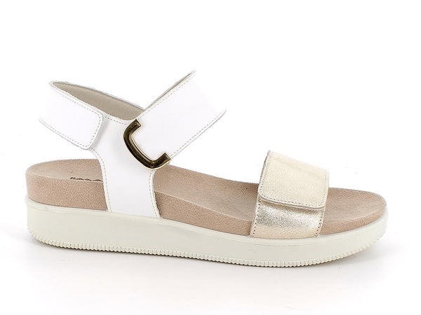 108700 PLATINO 51332/001 BIANC