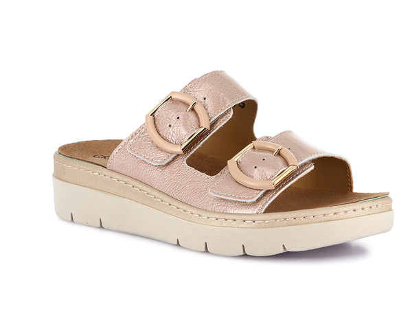 CE0773 CORDA
