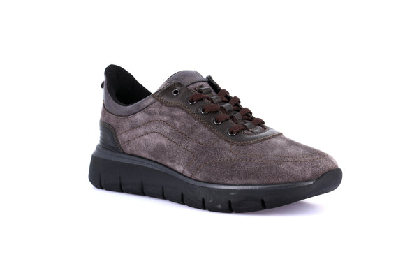 NAPA SCARPA DONNA SC6400 ANTR
