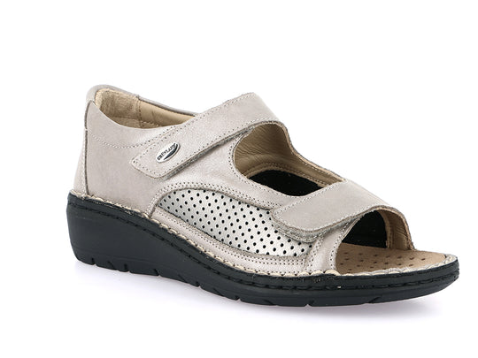 SC5559 TORT